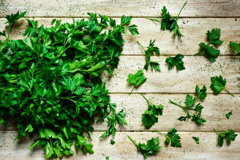 תרופת סבתא לדרכי השתן