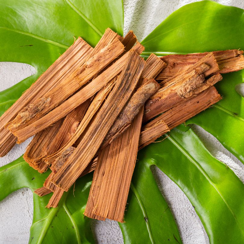 ציפורני החתול